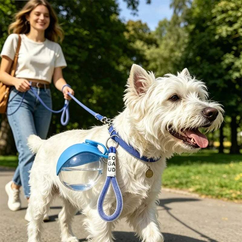 Gourde portable 2-en-1 pour chien et chat