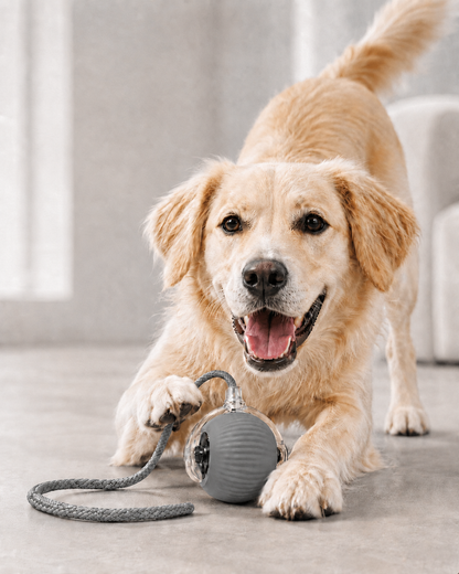 Balle interactive rechargeable