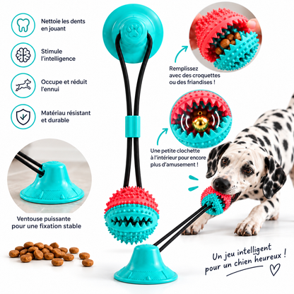 Jouet interactif à ventouse pour chien – balle à friandises